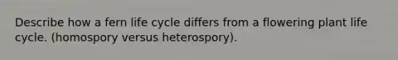 Describe how a fern life cycle differs from a flowering plant life cycle. (homospory versus heterospory).