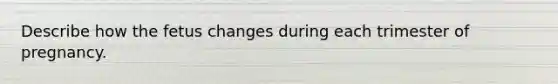 Describe how the fetus changes during each trimester of pregnancy.