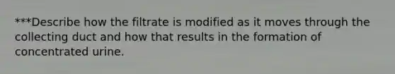 ***Describe how the filtrate is modified as it moves through the collecting duct and how that results in the formation of concentrated urine.