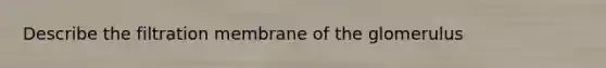 Describe the filtration membrane of the glomerulus