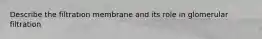 Describe the filtration membrane and its role in glomerular filtration