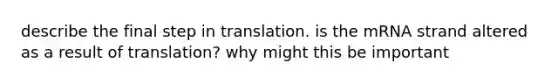 describe the final step in translation. is the mRNA strand altered as a result of translation? why might this be important