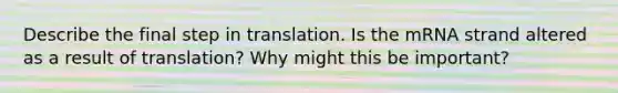 Describe the final step in translation. Is the mRNA strand altered as a result of translation? Why might this be important?