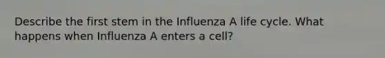 Describe the first stem in the Influenza A life cycle. What happens when Influenza A enters a cell?