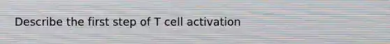 Describe the first step of T cell activation