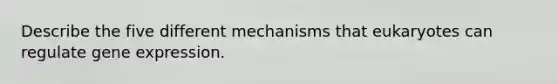 Describe the five different mechanisms that eukaryotes can regulate gene expression.