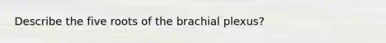 Describe the five roots of the brachial plexus?