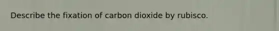 Describe the fixation of carbon dioxide by rubisco.