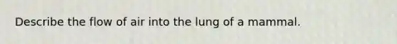 Describe the flow of air into the lung of a mammal.