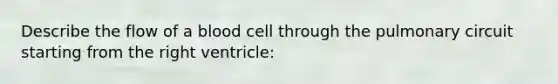 Describe the flow of a blood cell through the pulmonary circuit starting from the right ventricle: