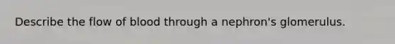 Describe the flow of blood through a nephron's glomerulus.
