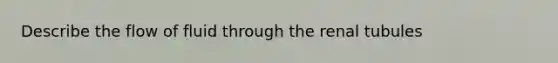 Describe the flow of fluid through the renal tubules