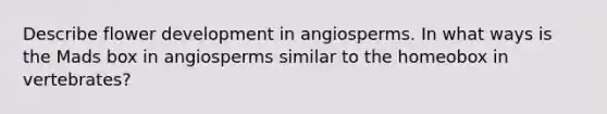 Describe flower development in angiosperms. In what ways is the Mads box in angiosperms similar to the homeobox in vertebrates?