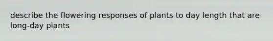 describe the flowering responses of plants to day length that are long-day plants