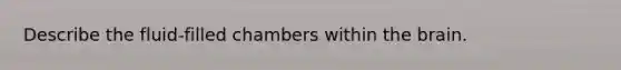 Describe the fluid-filled chambers within the brain.