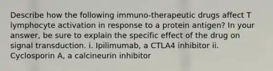 Describe how the following immuno-therapeutic drugs affect T lymphocyte activation in response to a protein antigen? In your answer, be sure to explain the specific effect of the drug on signal transduction. i. Ipilimumab, a CTLA4 inhibitor ii. Cyclosporin A, a calcineurin inhibitor