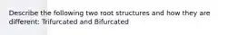 Describe the following two root structures and how they are different: Trifurcated and Bifurcated