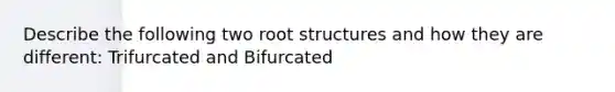 Describe the following two root structures and how they are different: Trifurcated and Bifurcated