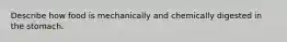 Describe how food is mechanically and chemically digested in the stomach.