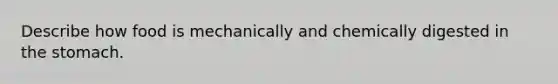 Describe how food is mechanically and chemically digested in the stomach.