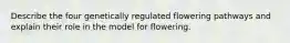 Describe the four genetically regulated flowering pathways and explain their role in the model for flowering.