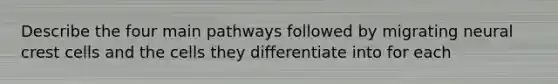 Describe the four main pathways followed by migrating neural crest cells and the cells they differentiate into for each