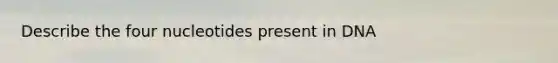 Describe the four nucleotides present in DNA