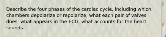 Describe the four phases of the cardiac cycle, including which chambers depolarize or repolarize, what each pair of valves does, what appears in the ECG, what accounts for the heart sounds.