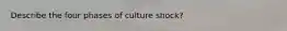 Describe the four phases of culture shock?