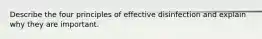 Describe the four principles of effective disinfection and explain why they are important.