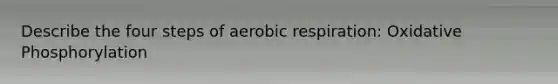 Describe the four steps of aerobic respiration: Oxidative Phosphorylation