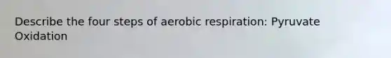 Describe the four steps of aerobic respiration: Pyruvate Oxidation