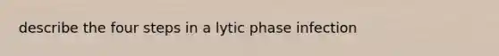 describe the four steps in a lytic phase infection