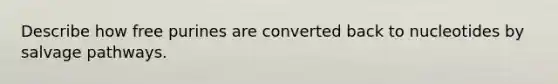 Describe how free purines are converted back to nucleotides by salvage pathways.
