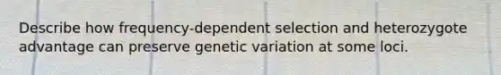 Describe how frequency-dependent selection and heterozygote advantage can preserve genetic variation at some loci.