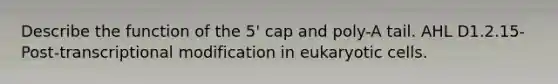 Describe the function of the 5' cap and poly-A tail. AHL ​​​​D1.2.15- Post-transcriptional modification in eukaryotic cells.