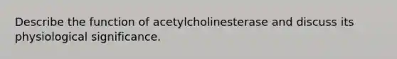 Describe the function of acetylcholinesterase and discuss its physiological significance.