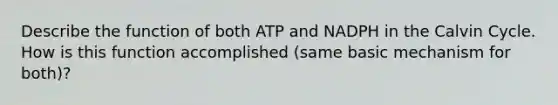 Describe the function of both ATP and NADPH in the Calvin Cycle. How is this function accomplished (same basic mechanism for both)?