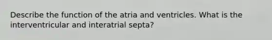 Describe the function of the atria and ventricles. What is the interventricular and interatrial septa?