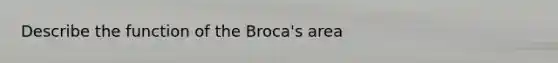 Describe the function of the Broca's area