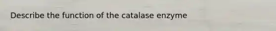 Describe the function of the catalase enzyme