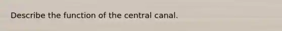 Describe the function of the central canal.