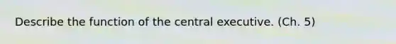 Describe the function of the central executive. (Ch. 5)