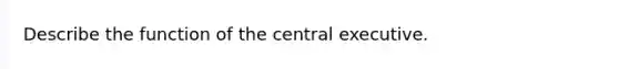 Describe the function of the central executive.