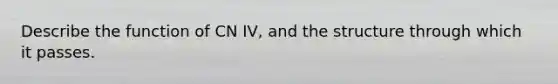 Describe the function of CN IV, and the structure through which it passes.