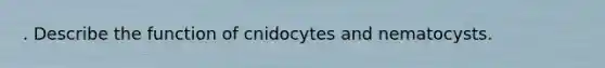 . Describe the function of cnidocytes and nematocysts.