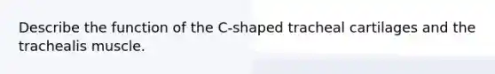 Describe the function of the C-shaped tracheal cartilages and the trachealis muscle.