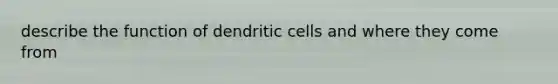 describe the function of dendritic cells and where they come from