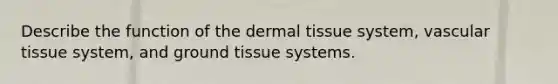 Describe the function of the <a href='https://www.questionai.com/knowledge/kRKdINDJId-dermal-tissue' class='anchor-knowledge'>dermal tissue</a> system, <a href='https://www.questionai.com/knowledge/k1HVFq17mo-vascular-tissue' class='anchor-knowledge'>vascular tissue</a> system, and <a href='https://www.questionai.com/knowledge/kb0kKBaH0H-ground-tissue' class='anchor-knowledge'>ground tissue</a> systems.