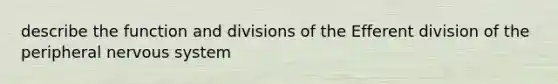 describe the function and divisions of the Efferent division of the peripheral nervous system